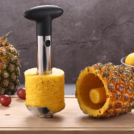 2 PCS Stainless Steel Pineapple Peeler Slicers Fruit Cutter Kitchen Tools - DealBuddy