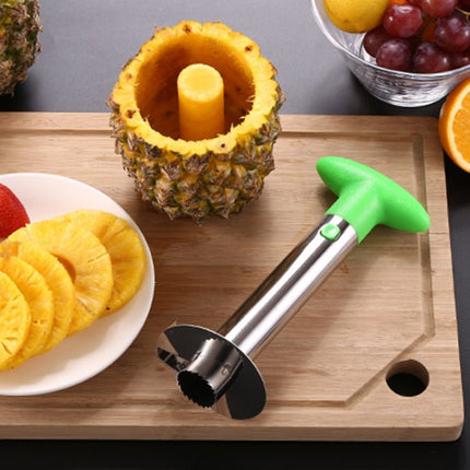 2 PCS Stainless Steel Pineapple Peeler Slicers Fruit Cutter Kitchen Tools - DealBuddy