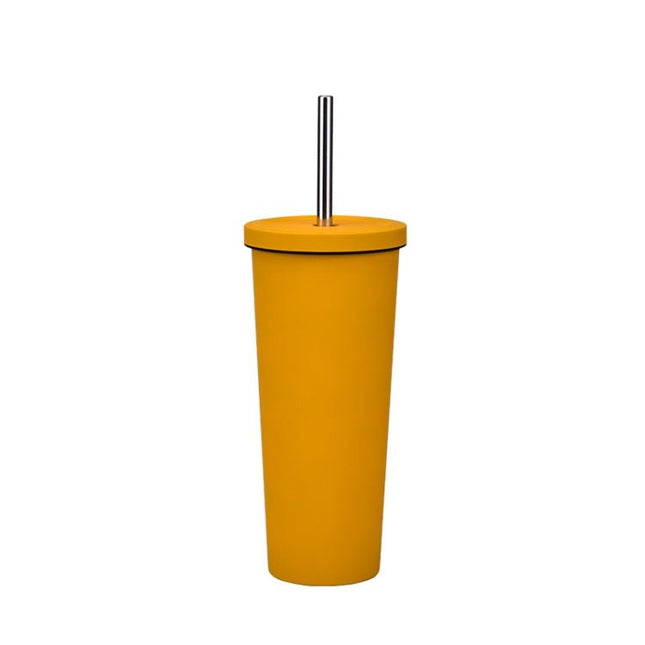 700ml Large Capacity Double Stainless Steel Straw Cup Vacuum Outdoor 304 Insulation Cup Car Water Cup - DealBuddy