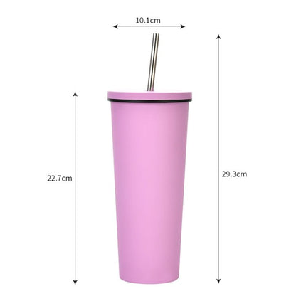 700ml Large Capacity Double Stainless Steel Straw Cup Vacuum Outdoor 304 Insulation Cup Car Water Cup - DealBuddy