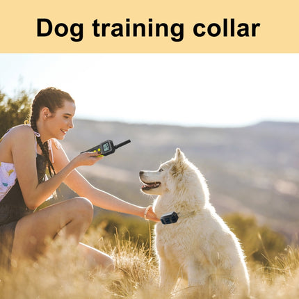 Tsattine T10 IP68 Waterproof 2000FT Dog Training Device with LCD Light, T10 - DealBuddy
