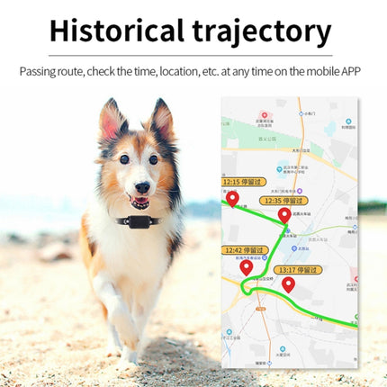 P03 2G Waterproof Pet GPS Tracker GPS+AGPS+WiFi+LBS Locator, P03 - DealBuddy