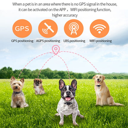 P03 2G Waterproof Pet GPS Tracker GPS+AGPS+WiFi+LBS Locator, P03 - DealBuddy