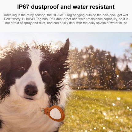 HUAWEI Tag Lightweight and Compact Anti-Lost Elf Pet Anti-Lost Tracker, HUAWEI Tag - DealBuddy