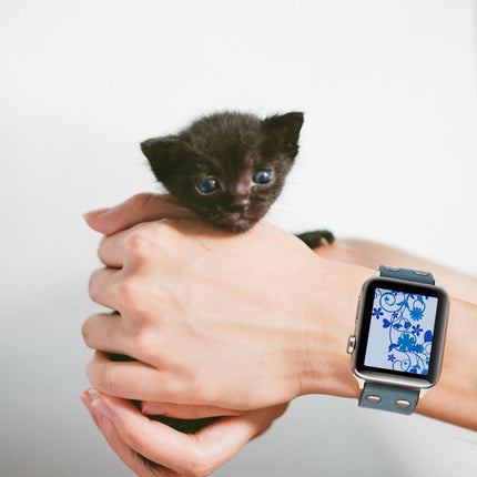 Leather Knife Strap - DealBuddy