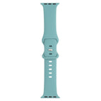 For Series 7 41mm / 6 & SE & 5 & 4 40mm / 3 & 2 & 1 38mm / Pine Needle Green