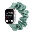 Scarf Hair Tie Replacement Watchbands For Apple Watch Series, 7 45mm / 6 & SE & 5 & 4 44mm / 3 & 2 & 1 42mm, 7 41mm / 6 & SE & 5 & 4 40mm / 3 & 2 & 1 38mm - DealBuddy