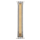 7 41mm / 6 & SE & 5 & 4 40mm / 3 & 2 & 1 38mm / Gold