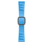 Silver Buckle / Lake Blue