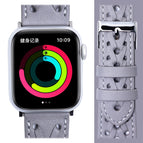 7 41mm / 6&SE&5&4 40mm / 3&2&1 38mm / Grey