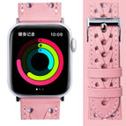 7 41mm / 6&SE&5&4 40mm / 3&2&1 38mm / Pink