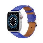 For Apple Watch Series 8&7 41mm / SE 2&6&SE&5&4 40mm / 3&2&1 38mm / Blue