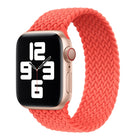 Nylon Single-turn Braided Watch Band For Apple Watch Series 8&7 41mm / SE 2&6&SE&5&4 40mm / 3&2&1 38mm