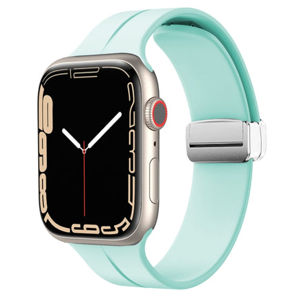 Magnetic Fold Clasp Silicone Watch Band