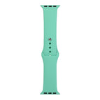 For Apple Watch Series 8&7 41mm / SE 2&6&SE&5&4 40mm / 3&2&1 38mm / Fragrant Green