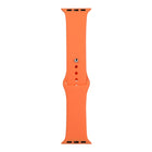 Silicone Watch Replacement Strap, Short Section (Female), For Apple Watch Series 8&7 41mm / SE 2&6&SE&5&4 40mm / 3&2&1 38mm - DealBuddy