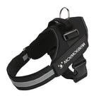 S for 6-14kg / Black