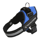 S for 6-14kg / Blue