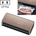 US Plug / Gold