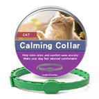 56cm For Cat / Green