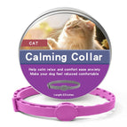 56cm For Cat / Purple