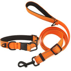 Waterproof Collar + Leash, S / Orange