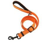 Leash, M / Orange