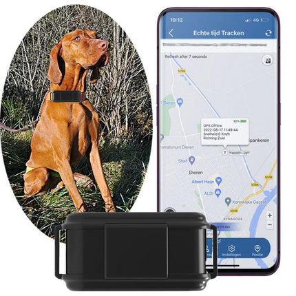 TK919 4G Dog Collar IP67 Waterproof GPS Locator - DealBuddy