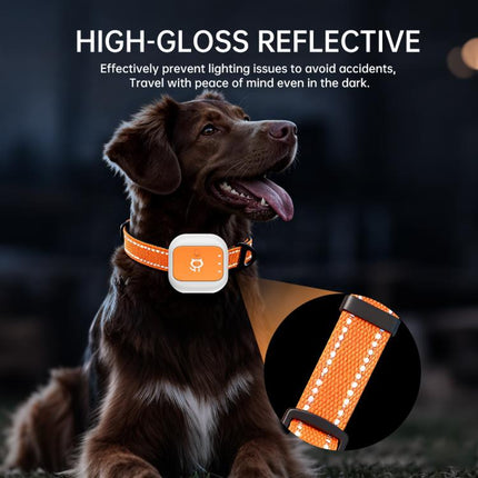 G01 Pet Anti-Loss Collar GPS Tracker - DealBuddy