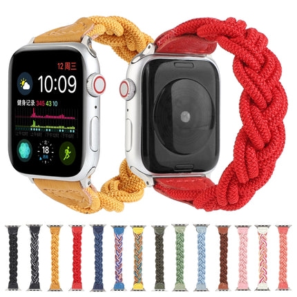 Elastic Woven Watchband For Apple Watch Series 6 & SE & 5 & 4 44mm / 3 & 2 & 1 42mm, 120mm, 130mm, 150mm