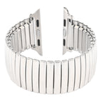For Apple Watch Series 8&7 41mm / SE 2&6&SE&5&4 40mm / 3&2&1 38mm / Silver