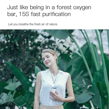 HE-K001 Hanging Neck Negative USB Rechargeable Ion Air Purifier Portable Household Formaldehyde Removal Portable Purifier - DealBuddy