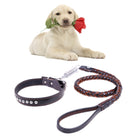 Cowhide Traction Belt Dog Collar Telescopic Dog Rope, Suitable For Medium and Large Dogs, M, Rope Length: 128cm Collar Size: 32-44cm - DealBuddy