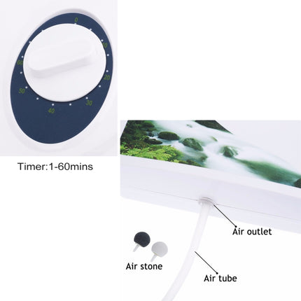 600MG Ozone Generator Cleaner Sterilizer for Vegetables and Fruits - DealBuddy