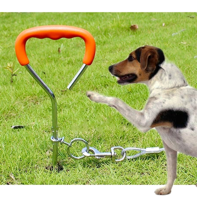 Dog Pile Fixation Spiral Nail with Handle For Medium Small Dog Long Training Outdoor, Size: 45cm*9mm, Size: 45cm*9mm - DealBuddy