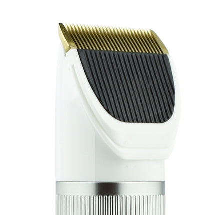 Q6 USB Charging Electric Pet Shaver with Four Combs, Q6 Shaver - DealBuddy