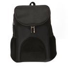 Portable Folding Nylon Breathable Pet Carrier Backpack, Size: 45 x 36 x 31cm, Size: 45 x 36 x 31cm Black, Size: 45 x 36 x 31cm Coffee, Size: 45 x 36 x 31cm Blue, Size: 45 x 36 x 31cm Red - DealBuddy