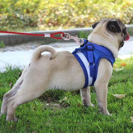 Double-end Steel Wire Rope Pet Dogs 2 in 1 Traction Rope Pet Walking Leads With Handle, Length: 5m,Random Color Delivery, Length: 5m - DealBuddy
