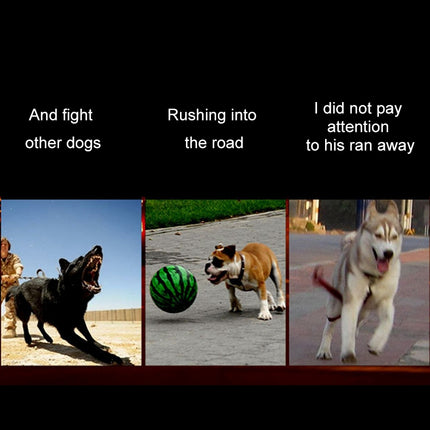 Medium and Large Dog Pet Solar + USB Charging LED Light Collar, Neck Circumference Size: S, 35-40cm, Size: S - DealBuddy