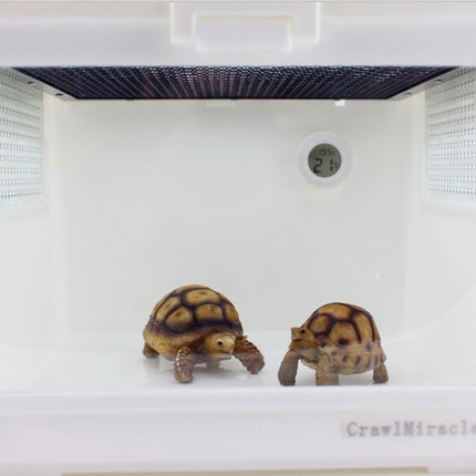 Digital Round Shaped Reptile Box Centigrade Thermometer & Hygrometer with Screen Display