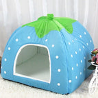 Blue, Size M / Blue
