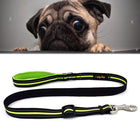 Pet Dogs Nylon Night Reflective Breathable Handheld Traction Lead Leash, Size: M, Adjustable Range: 2.5*(100-140cm), Size: M, Adjustable Range: 2.5*(100-140cm) - DealBuddy