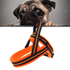 Pet Dogs A7 Reflective Polyester Chest Harness Lead Leash Traction Big Dogs Safety Chain Rope Collar, Size: XS, 2.0*42*50cm, Size: XS, 2.0*42*50cm