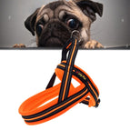 Size: XS, 2.0*42*50cm / Orange