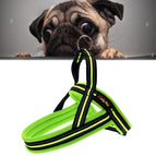 Size: XS, 2.0*42*50cm / Green