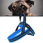 Pet Dogs A7 Reflective Polyester Chest Harness Lead Leash Traction Big Dogs Safety Chain Rope Collar, Size: L, 2.5*68*84cm, Size: L, 2.5*68*84cm - DealBuddy