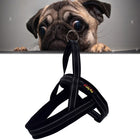 Pet Dogs A7 Reflective Polyester Chest Harness Lead Leash Traction Big Dogs Safety Chain Rope Collar, Size: S, 2.0*50*62cm, Size: S, 2.0*50*62cm - DealBuddy