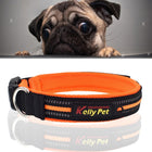 Pet Dogs Polyester Reflective Breathable Pets Collar Traction Lead Leash, Size: L, 2.5*47*54cm, Size: L, 2.5*47*54cm - DealBuddy
