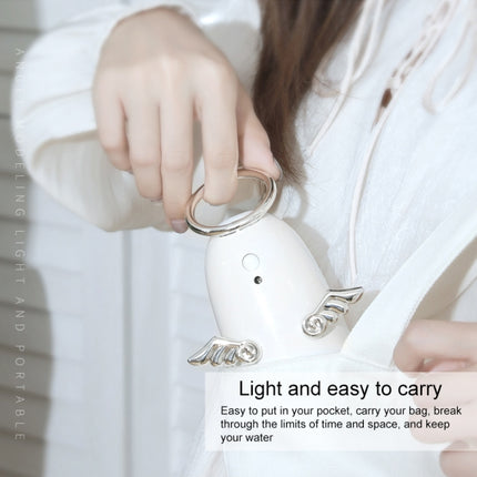 TSHM0 Mini Angel Atomizing Humidifier with Colorful Night Lights, Water Tank Capacity: 230mL - DealBuddy