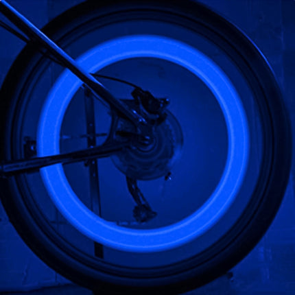 2 PCS Bicycle Wheels Willow Spoke Lights Decoration Colorful LED Night Riding Light - DealBuddy